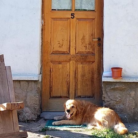Buena Onda I Vila San Martín de los Andes Exterior foto